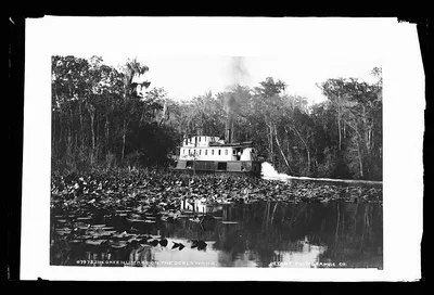 The Okeehumkee on the Ocklawaha [sic], Florida, 1880