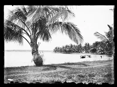 Palm Beach, Florida, 1880