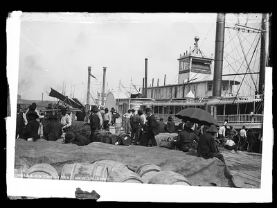 On the levee, New Orleans, Louisiana, 1880