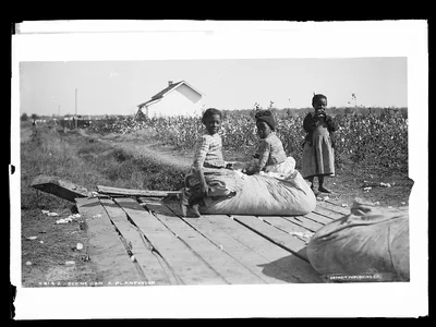Scene on a plantation, 1880