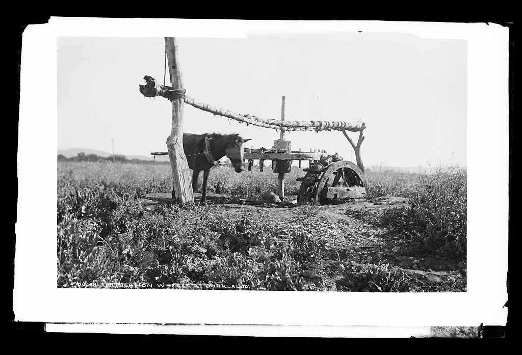 Irrigation wheel at Ahualalco [sic], Mexico, Ahualulco, 1880