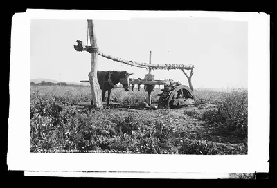 Irrigation wheel at Ahualalco [sic], Mexico, Ahualulco, 1880