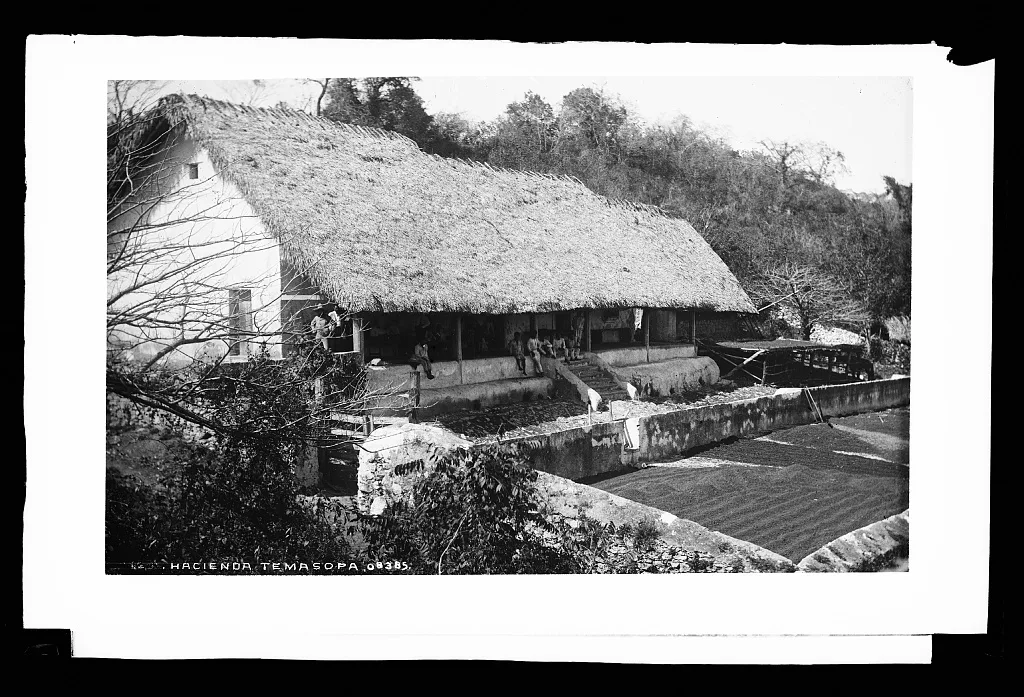 Hacienda Temasopa [sic], Tamasopo, Mexico, 1880