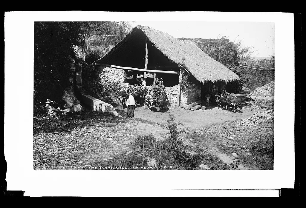 Groups about the sugar mill, Temasopa [sic], Mexico, Tamasopo, 1880