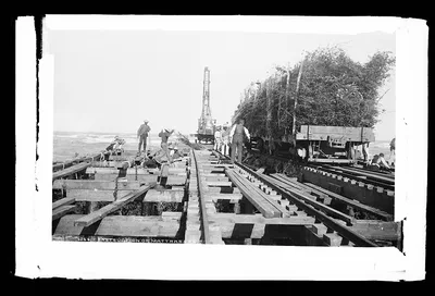 Construction of mattrasses [i.e. mattresses], Mexico, Tampico, 1880