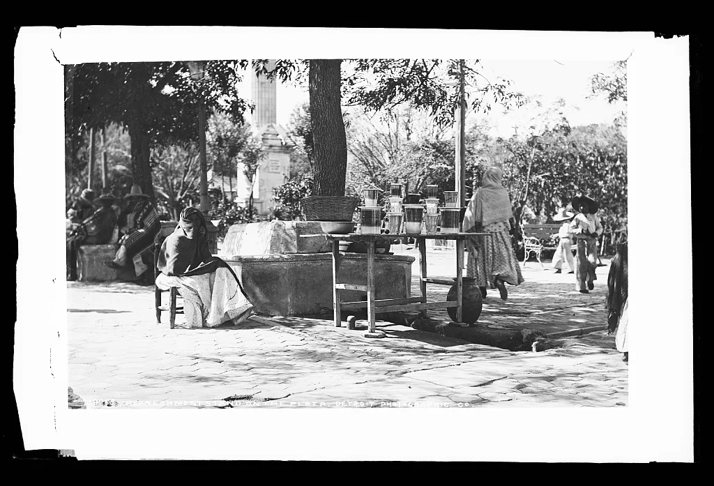 Refreshment stand on the plaza, Aguascalientes (State), 1880