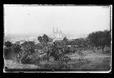 Lagos, Mexico, 1880