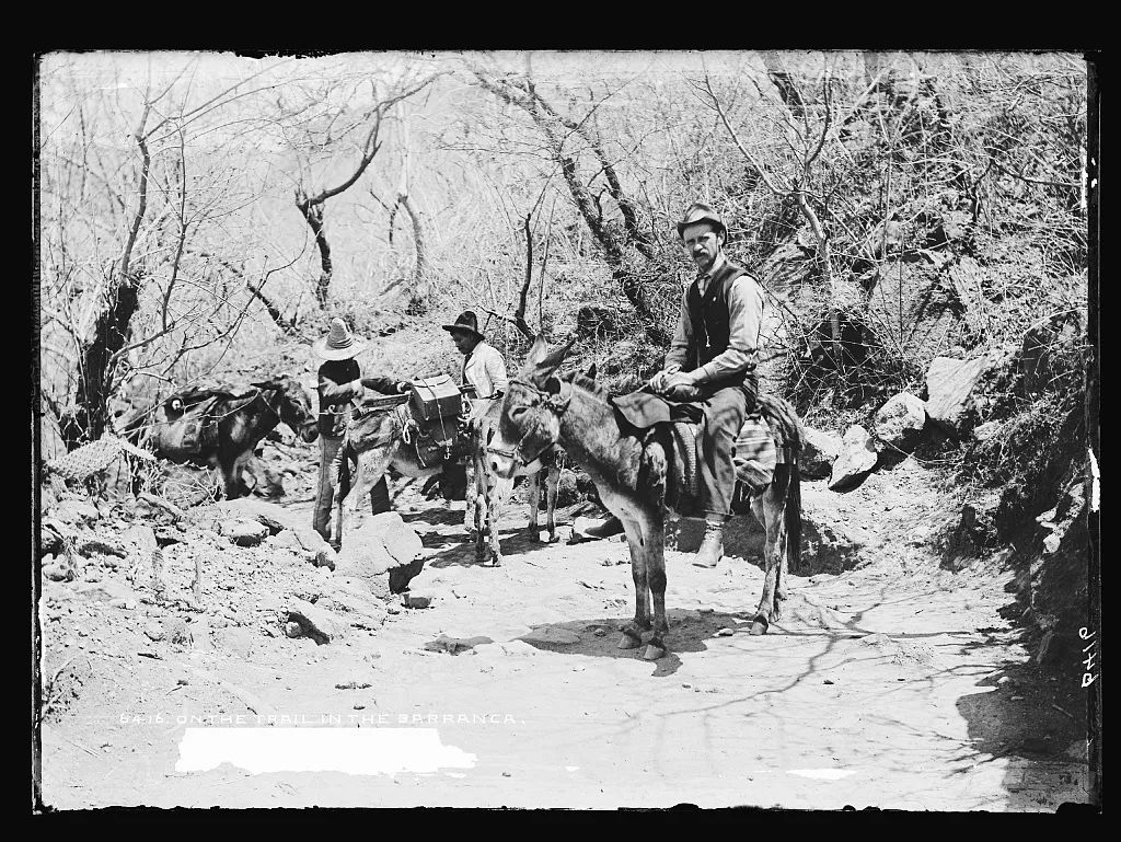 On the trail in the Barranca, Barranca De Oblatos, Mexico, 1880