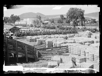 Teoloyucan, Mexico, Mexico, Teoloyucan, 1880