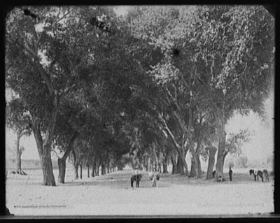 Guadaloupe Avenue, Chihuahua, Mexico, Chihuahua, 1880