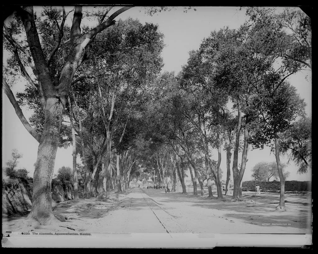 The Alameda, Aguascalientes, Mexico, Aguascalientes (State), 1880