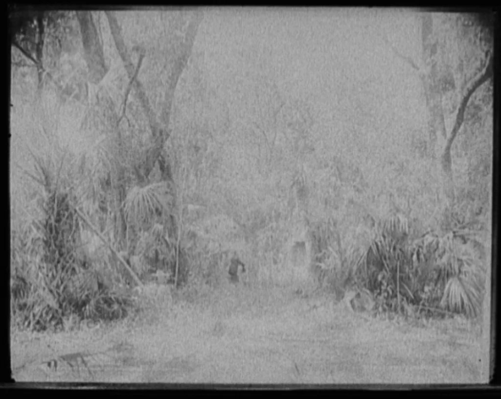 Chimney in the Ormond Hammock, Florida, 1894
