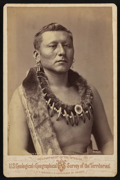 Photograph from 1876: [Captain Black Dog, also known as Young Black…