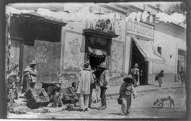 A pulque shop in Tacubaya, Mexico, Mexico, Mexico City, 1884