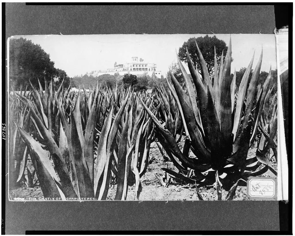 The Castle of Chapultepec, Chapultepec, Mexico, 1884