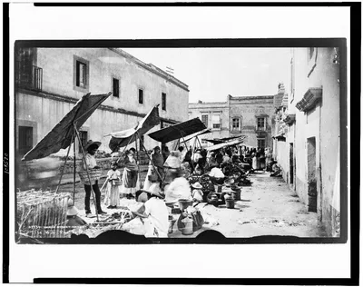 Mexico street market, 1884